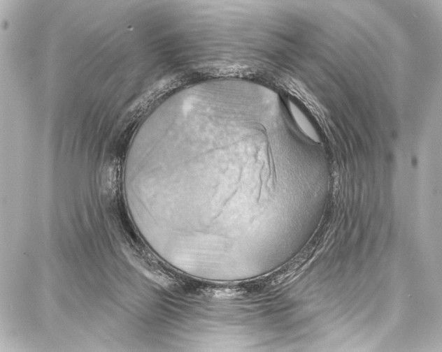 X0000086880165200705141419