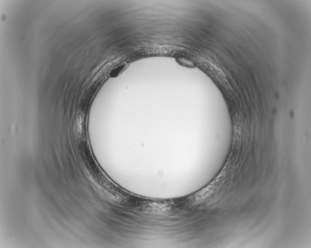 X0000086880166200705141419