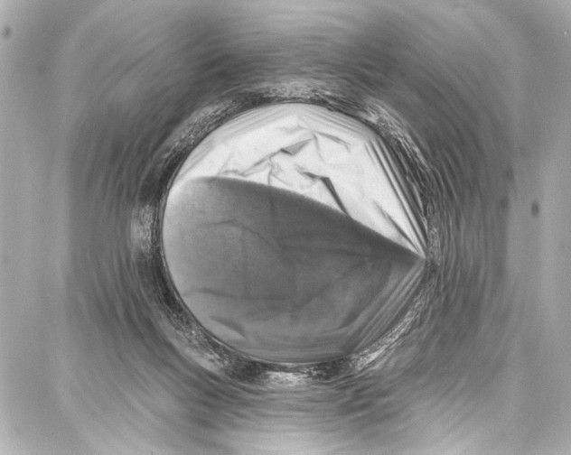 X0000086880167200705141419