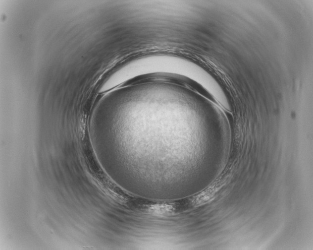 X0000086880168200705141419