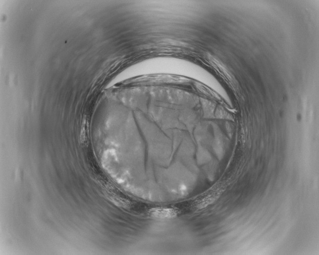 X0000086880169200705141419