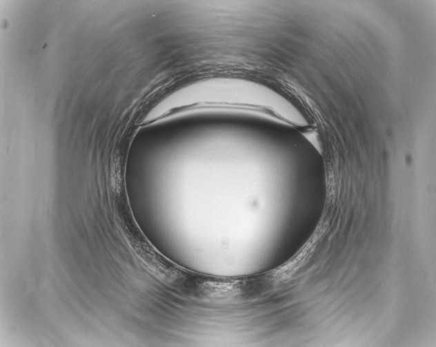 X0000086880170200705141419