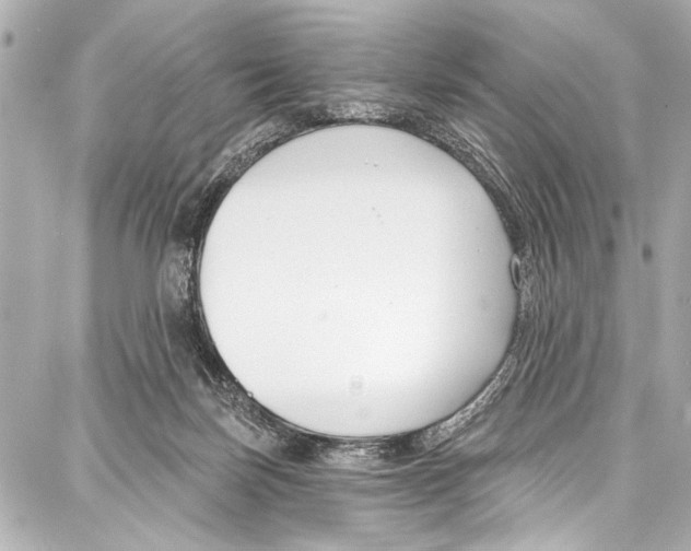 X0000086880171200705141419