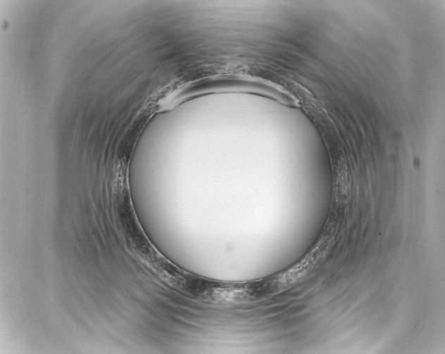 X0000086880172200705141419