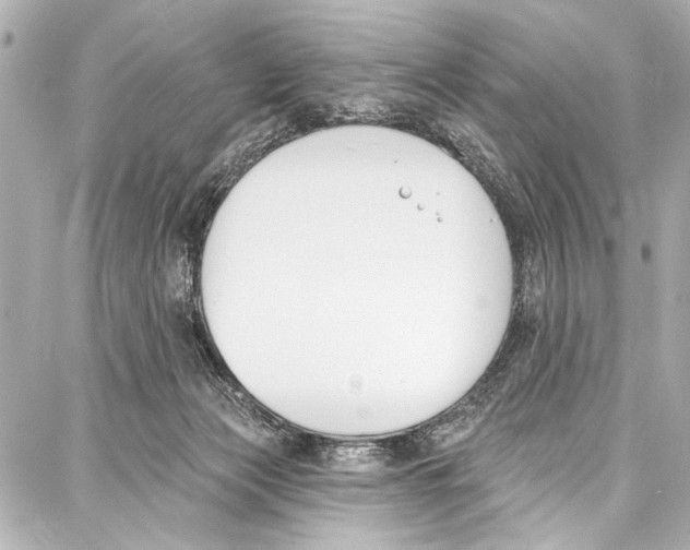 X0000086880173200705141419