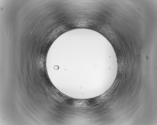 X0000086880175200705141419