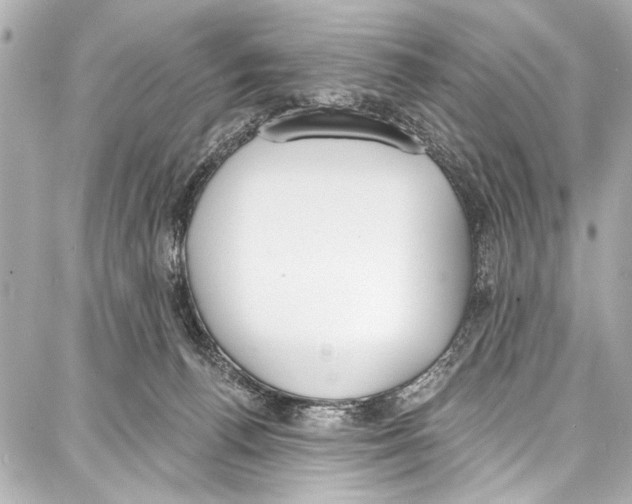 X0000086880176200705141419