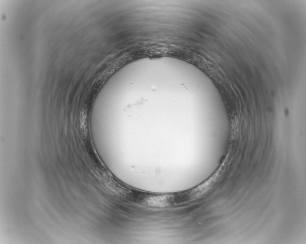 X0000086880178200705141419