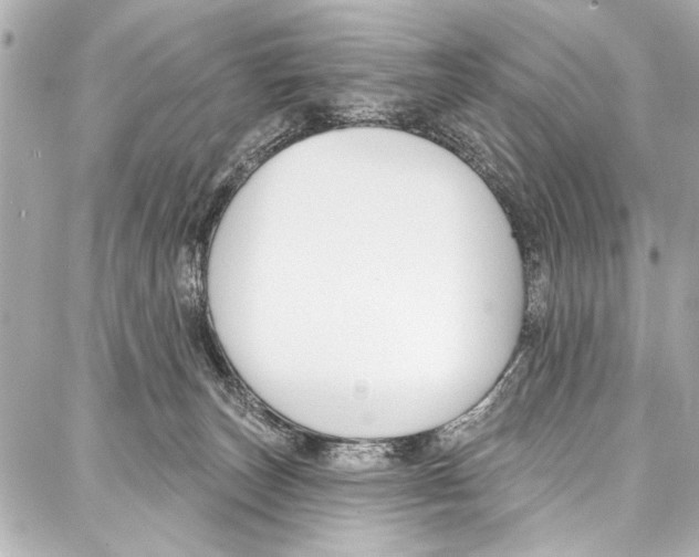 X0000086880179200705141419