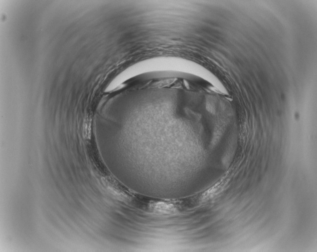 X0000086880180200705141419