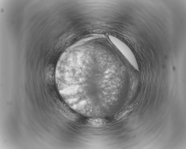 X0000086880181200705141419