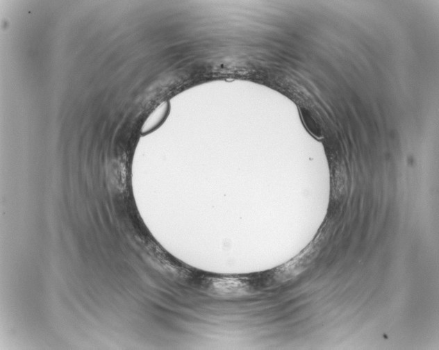 X0000086880183200705141419