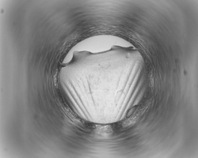 X0000086880185200705141419