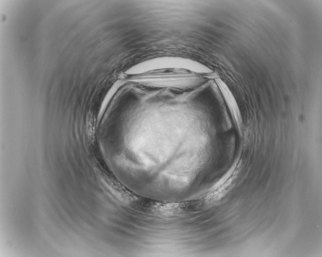 X0000086880186200705141419