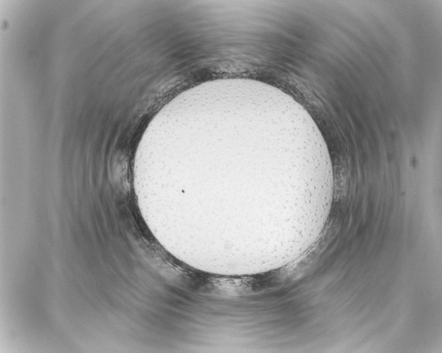 X0000086880187200705141419