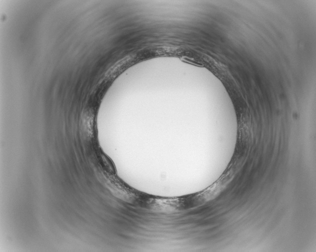 X0000086880188200705141419