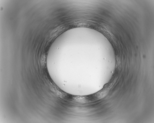 X0000086880189200705141419