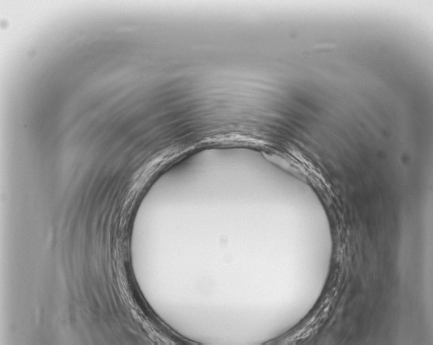 X0000086880193200705141419