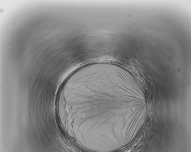 X0000086880196200705141419