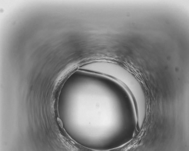 X0000086880197200705141419