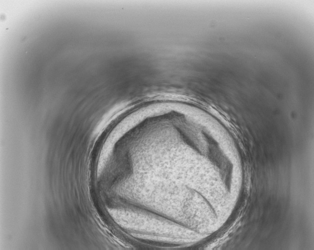 X0000086880199200705141419