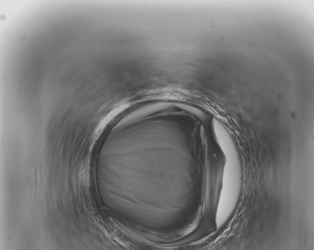 X0000086880200200705141419