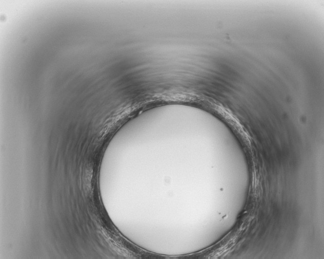 X0000086880201200705141419