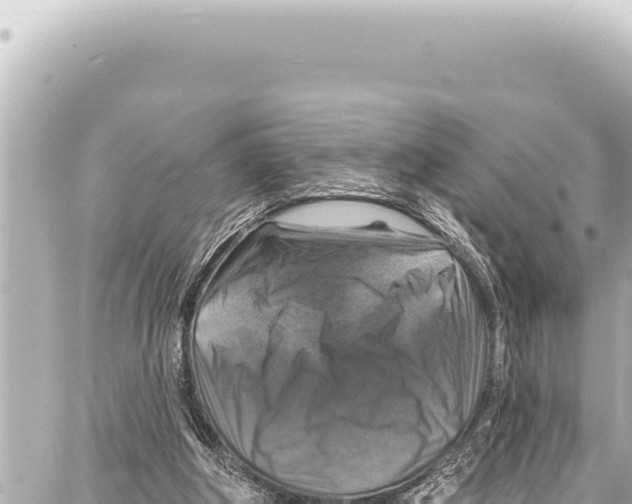 X0000086880202200705141419