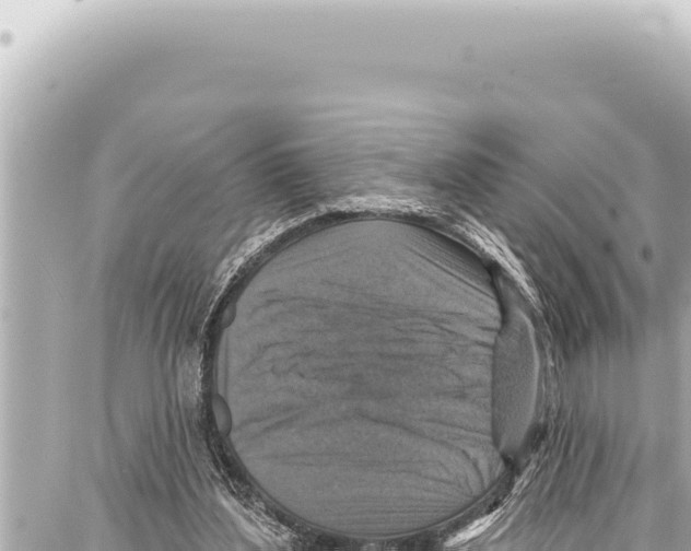 X0000086880204200705141419