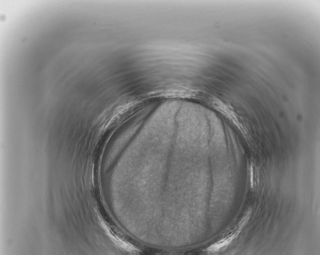 X0000086880205200705141419