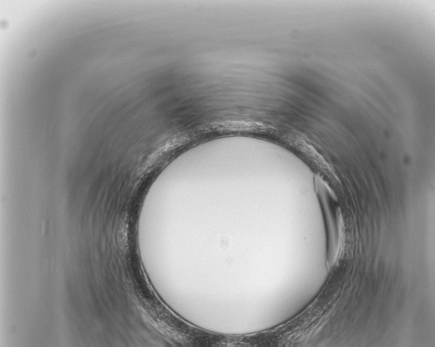 X0000086880207200705141419