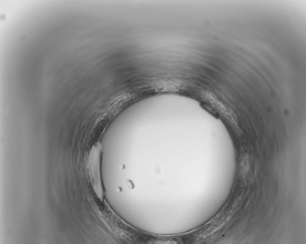 X0000086880209200705141418