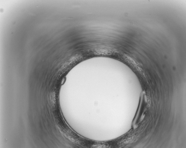 X0000086880211200705141418