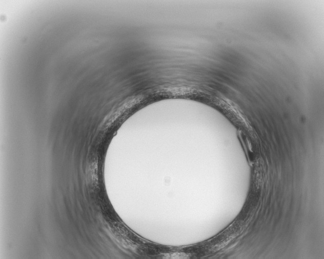 X0000086880212200705141418