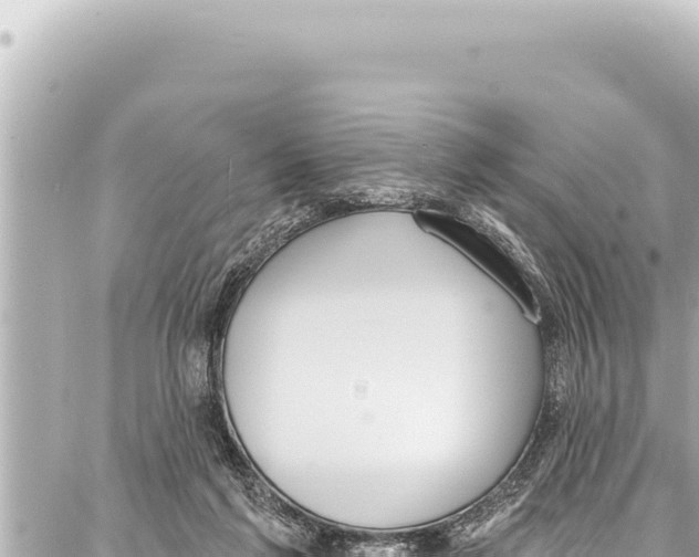 X0000086880213200705141418