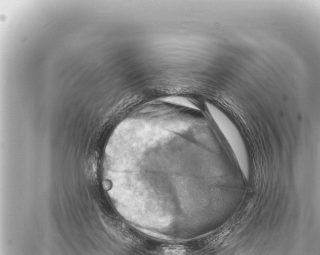 X0000086880214200705141418