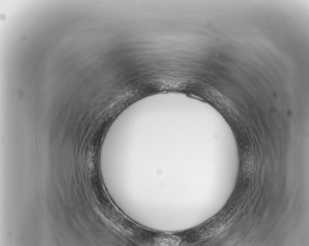 X0000086880215200705141418