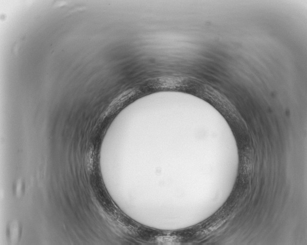 X0000086880216200705141418