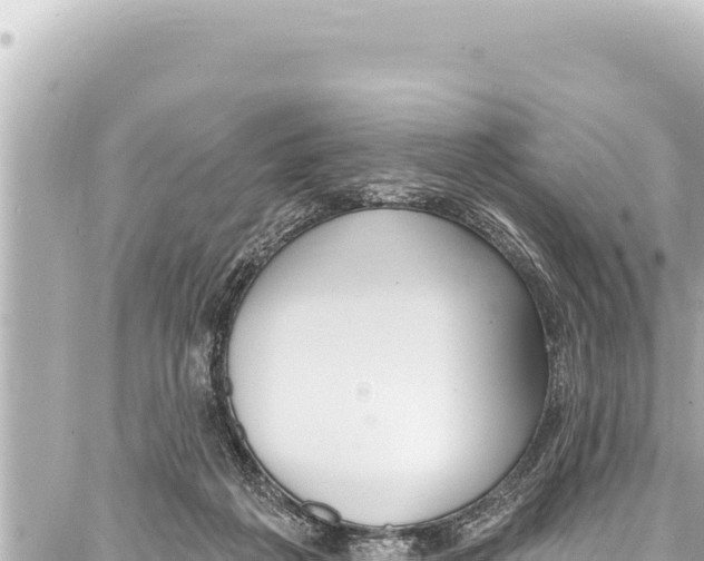 X0000086880217200705141418