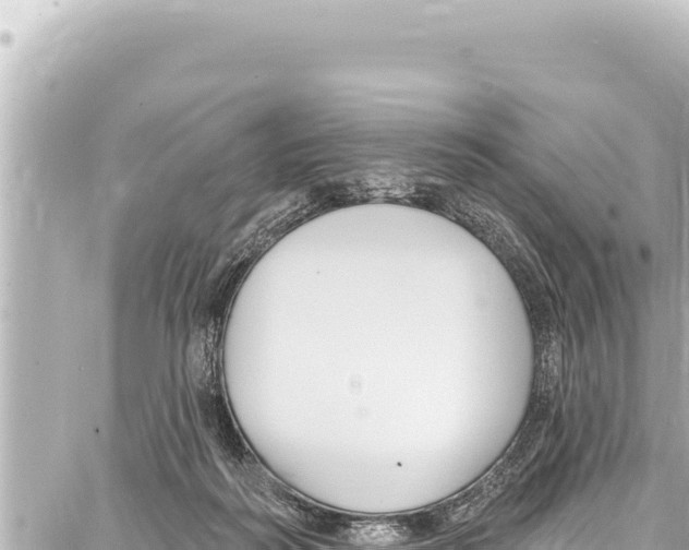 X0000086880218200705141418