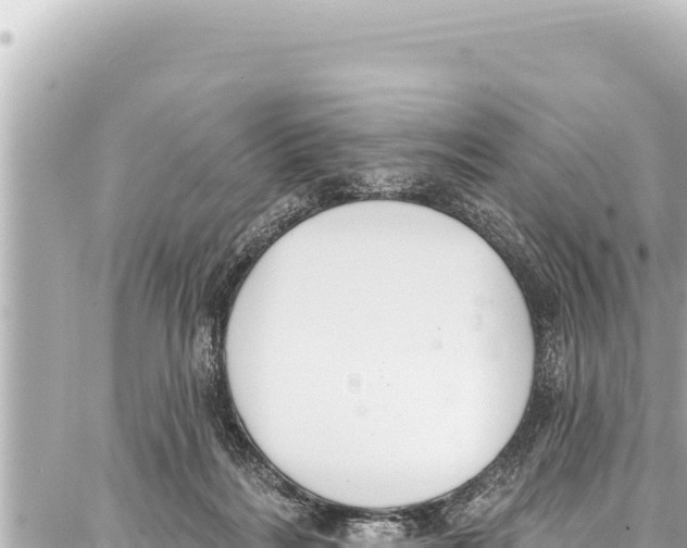 X0000086880220200705141418