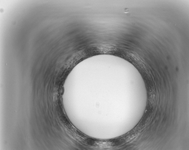 X0000086880221200705141418