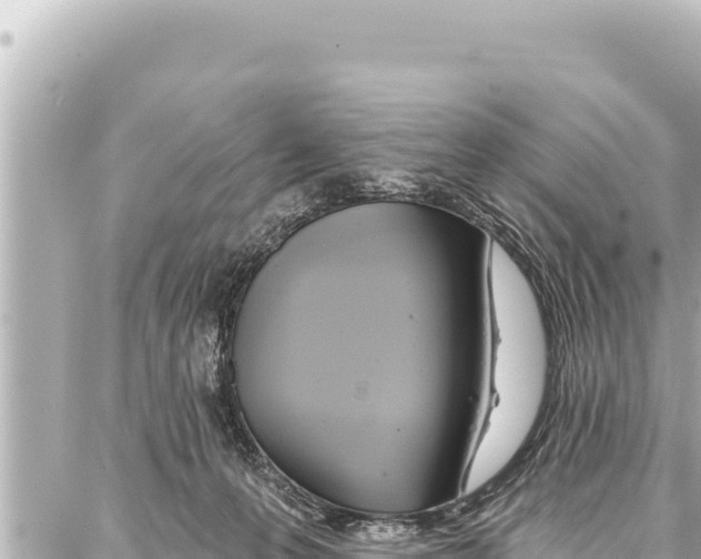 X0000086880223200705141418