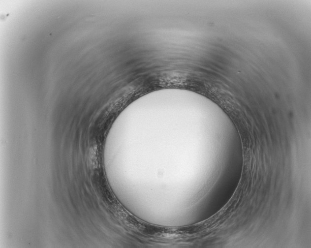 X0000086880224200705141418