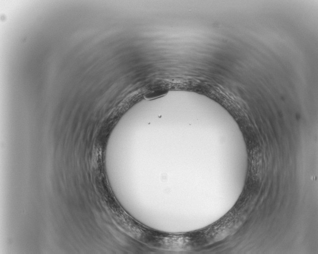 X0000086880225200705141418