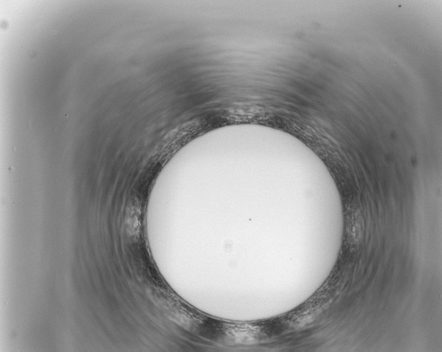 X0000086880226200705141418