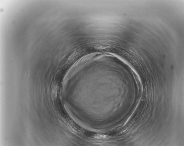 X0000086880227200705141418