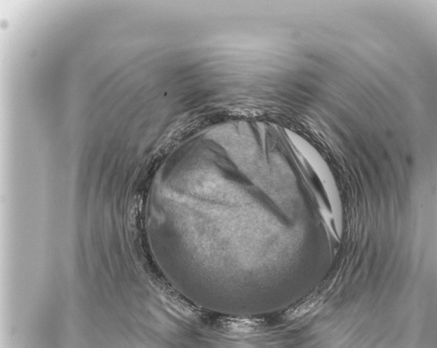 X0000086880229200705141418