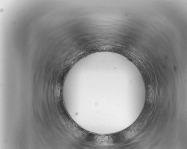 X0000086880230200705141418