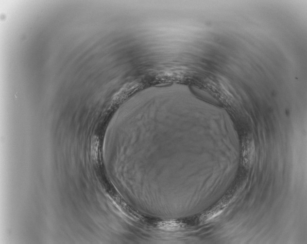 X0000086880231200705141418